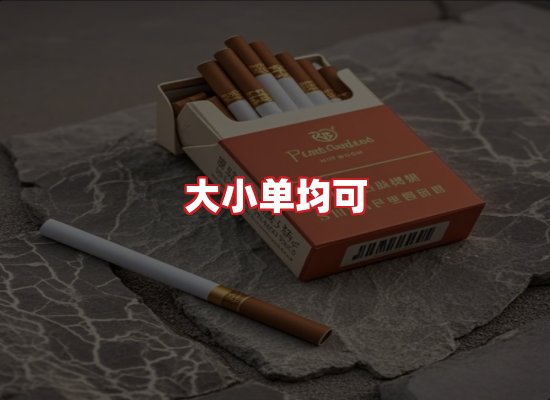 专业团队